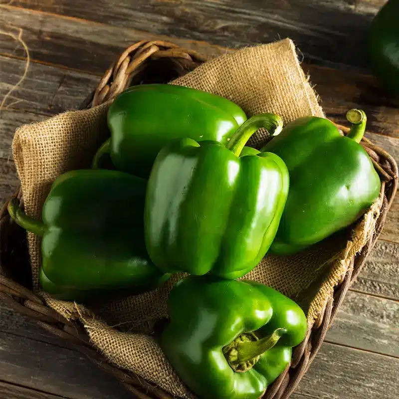 Green-Bell-Peppers