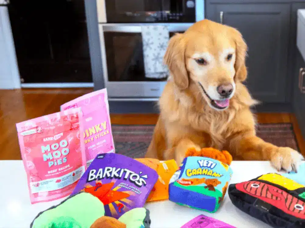 BarkBox Subscription Credit - $45 Value 