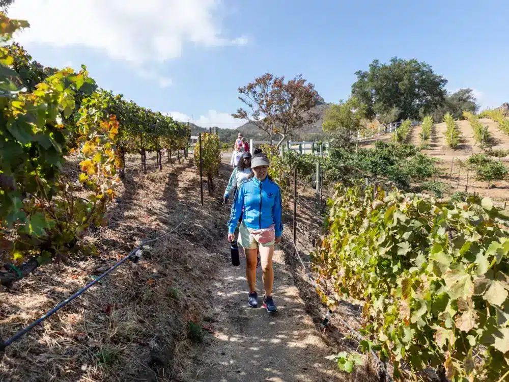 Malibu-Wine-Hike