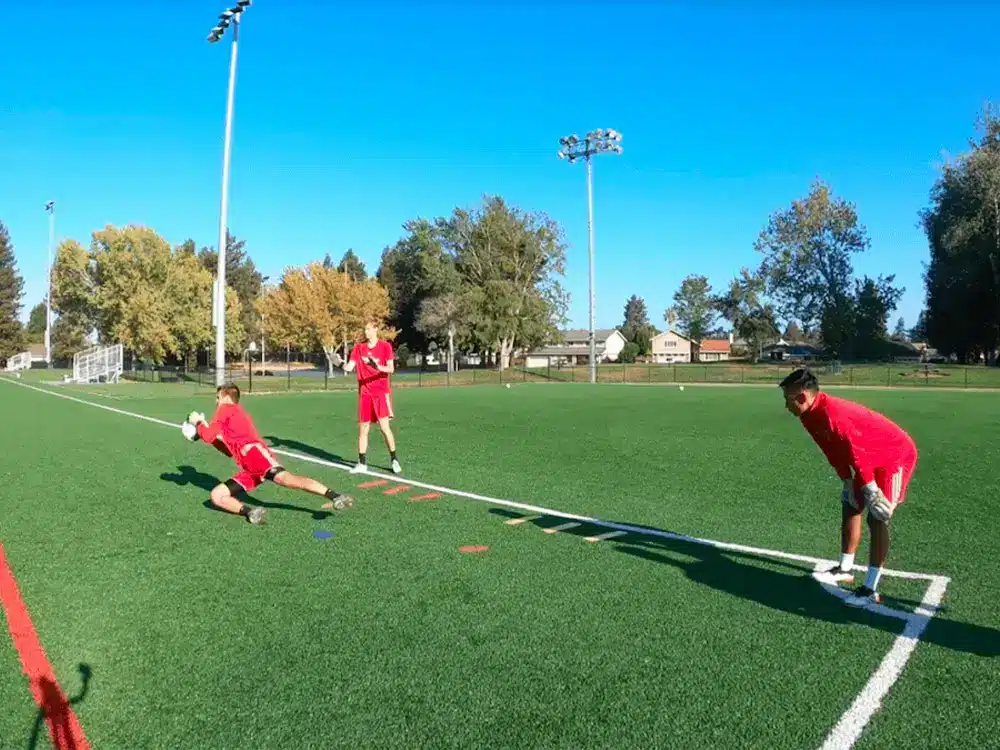 Two 1-hour Soccer Coaching Lessons with professional goalkeeper coach, Matt Railla